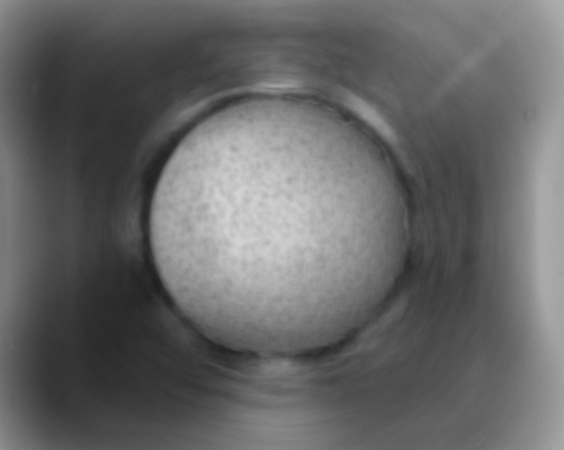 X0000089861456200707191912