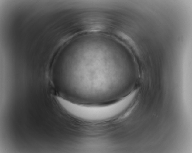 X0000089861457200707191912