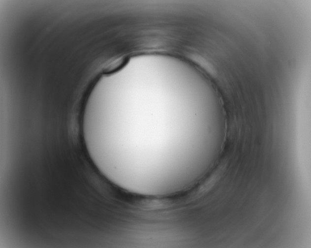 X0000089861458200707191912