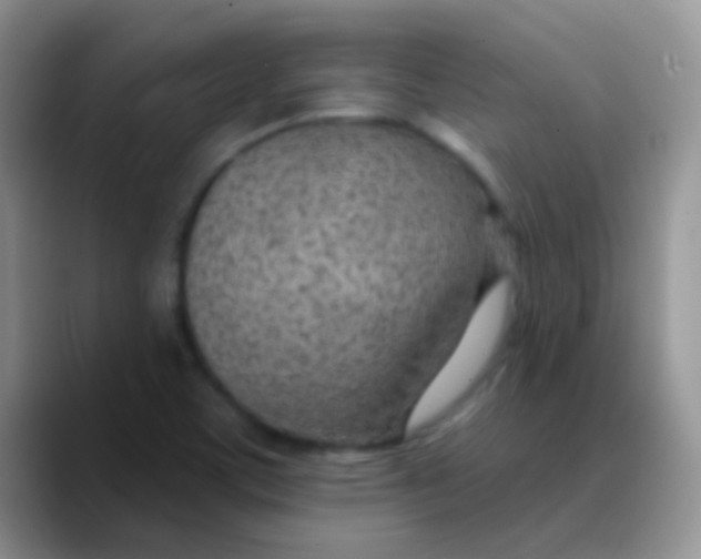 X0000089861459200707191912