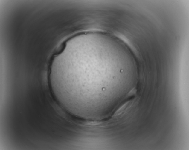 X0000089861460200707191912