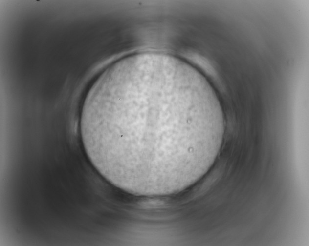 X0000089861462200707191912