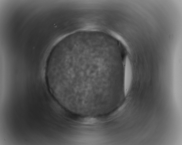 X0000089861463200707191912