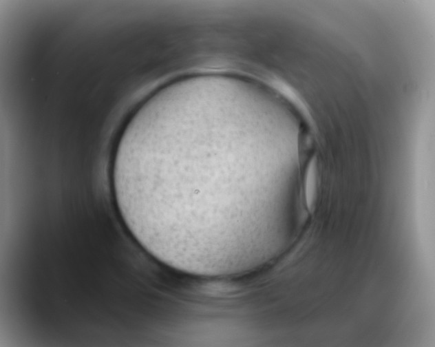 X0000089861464200707191912