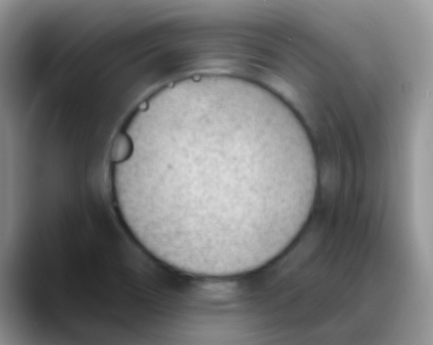 X0000089861466200707191911