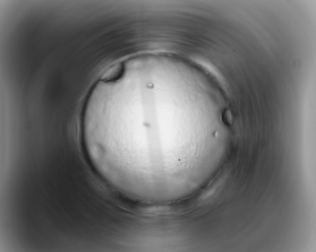 X0000089861467200707191911