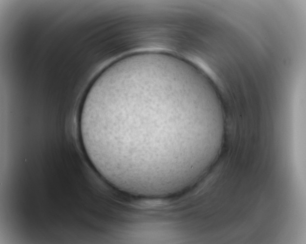 X0000089861468200707191911