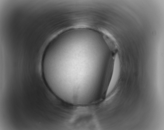 X0000089861469200707191911