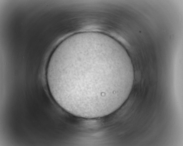 X0000089861470200707191911