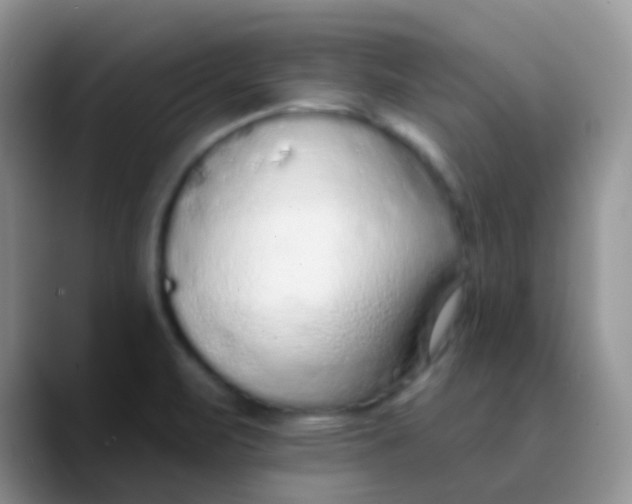 X0000089861471200707191911