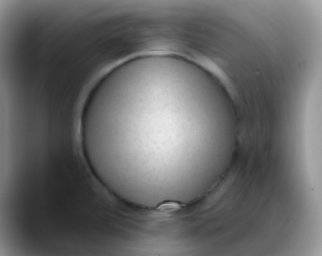 X0000089861472200707191911