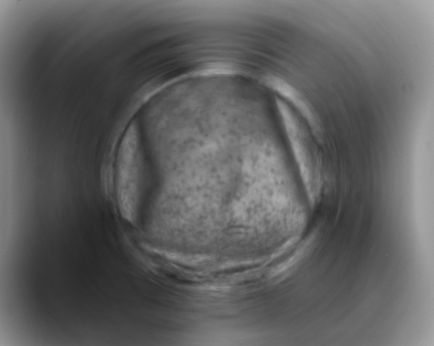 X0000089861473200707191911