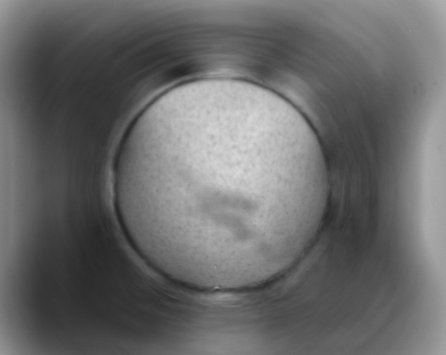 X0000089861476200707191911