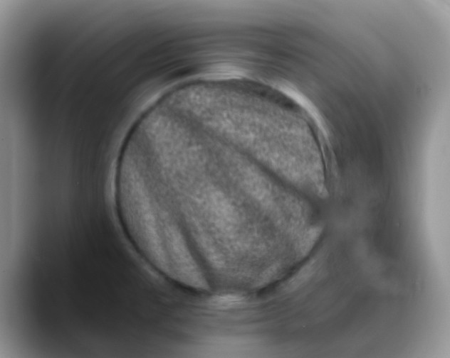 X0000089861477200707191911