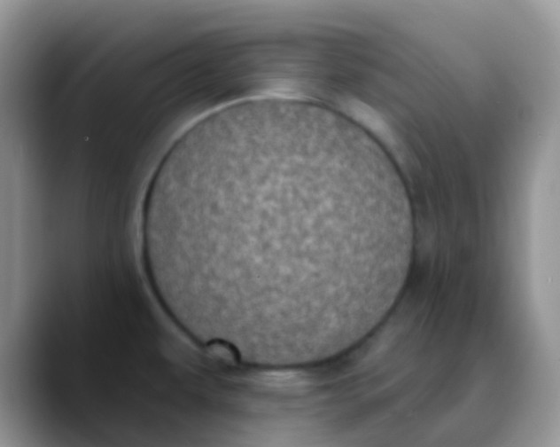 X0000089861479200707191911