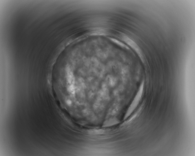 X0000089861481200707191911