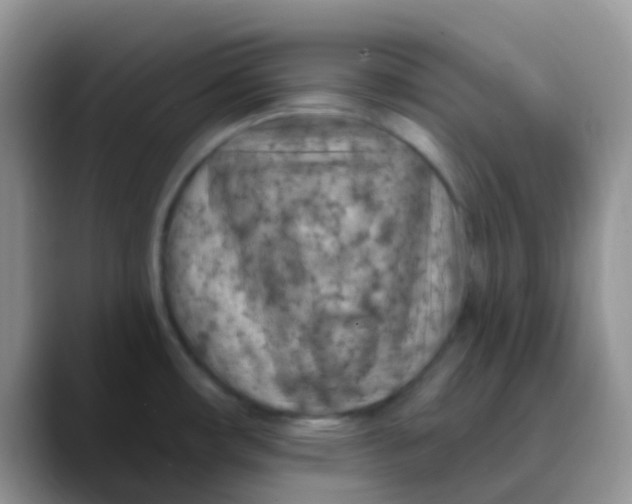 X0000089861482200707191911