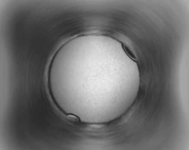 X0000089861483200707191911