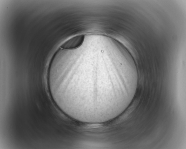 X0000089861486200707191911