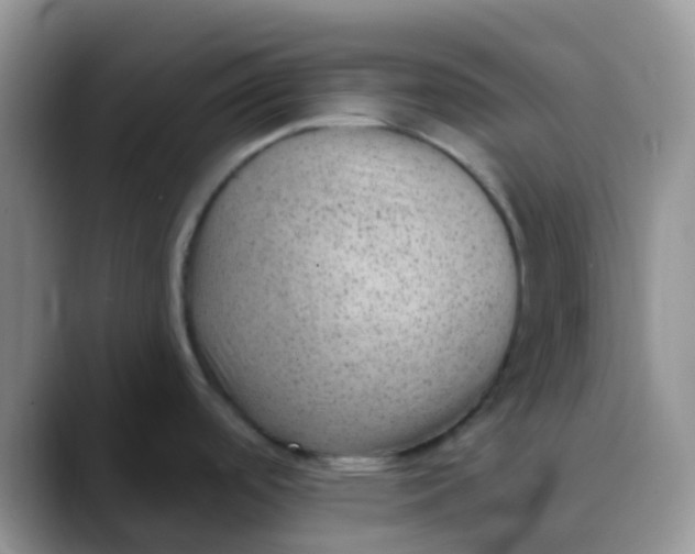 X0000089861488200707191911