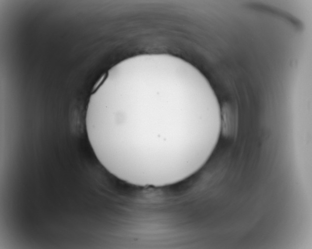 X0000089861491200707191911