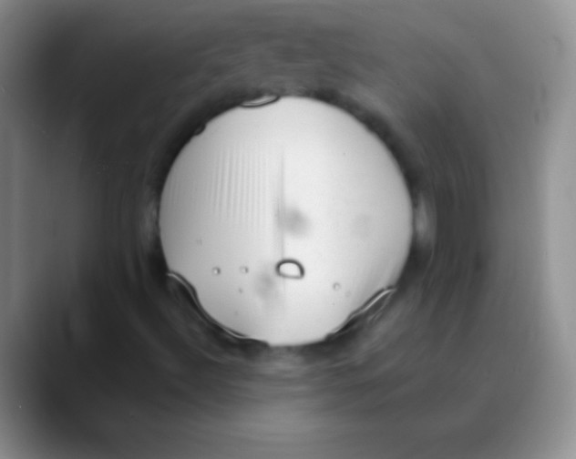 X0000089861492200707191911