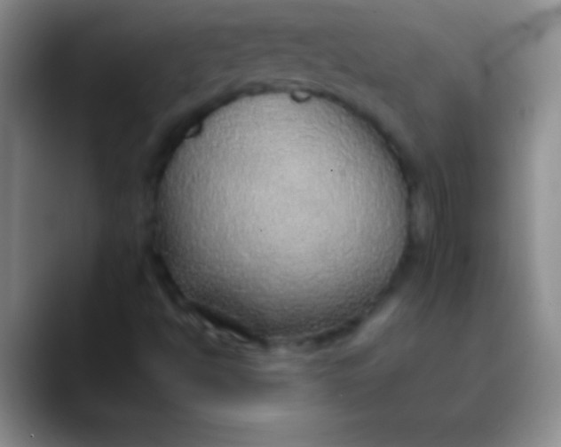 X0000089861494200707191911