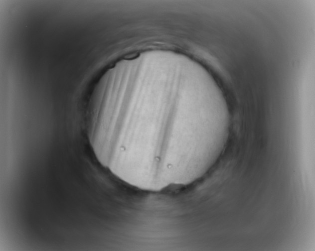 X0000089861496200707191911