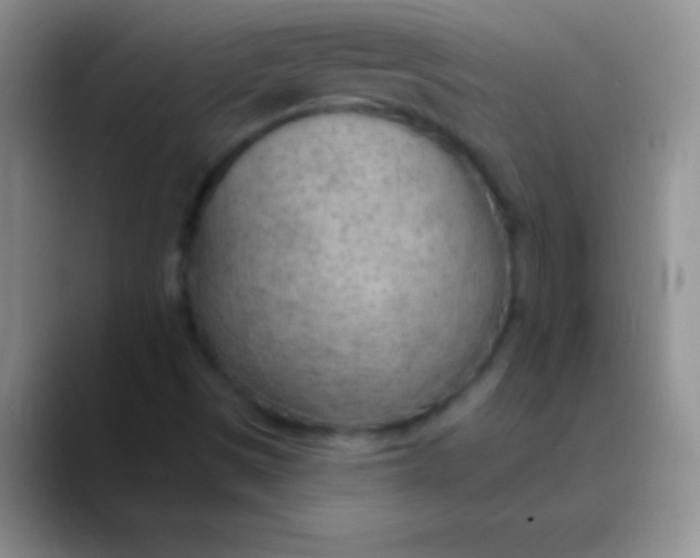 X0000089861497200707191911