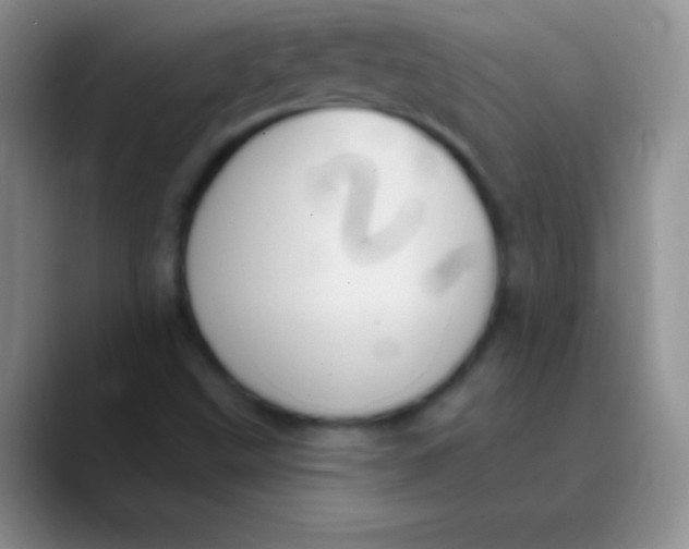 X0000089861499200707191911