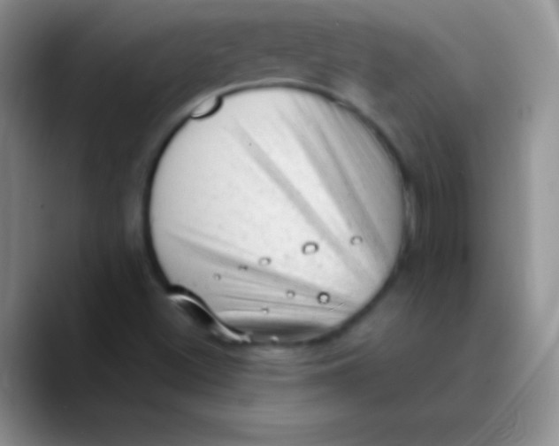 X0000089861500200707191911