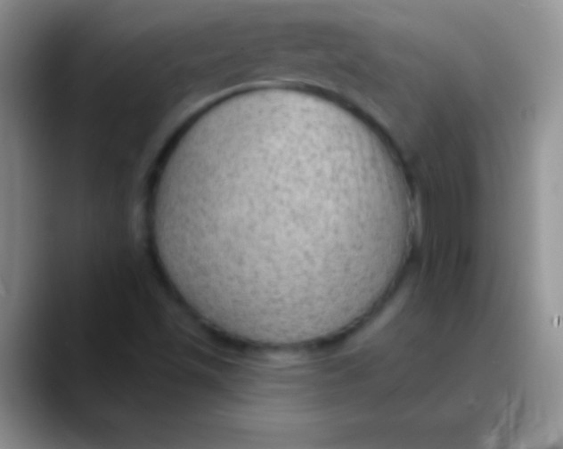 X0000089861501200707191911