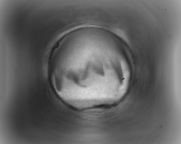 X0000089861504200707191911