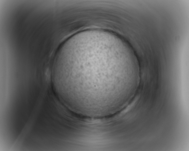 X0000089861505200707191911