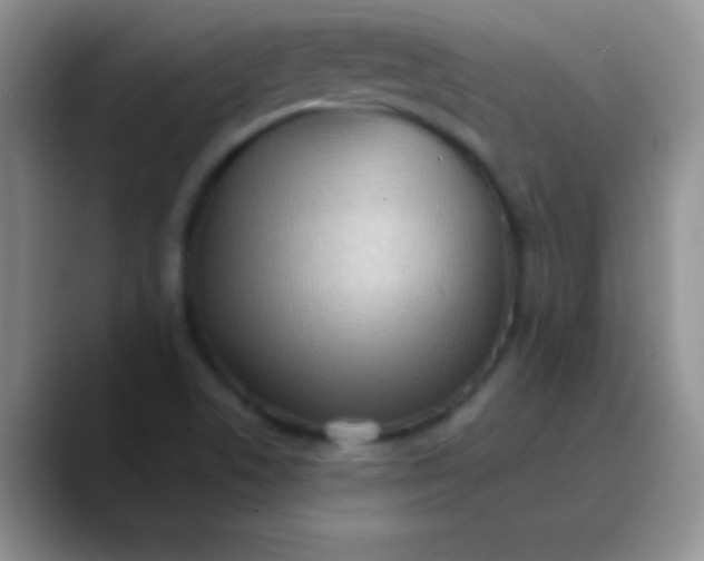 X0000089861506200707191911