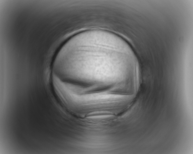 X0000089861507200707191911