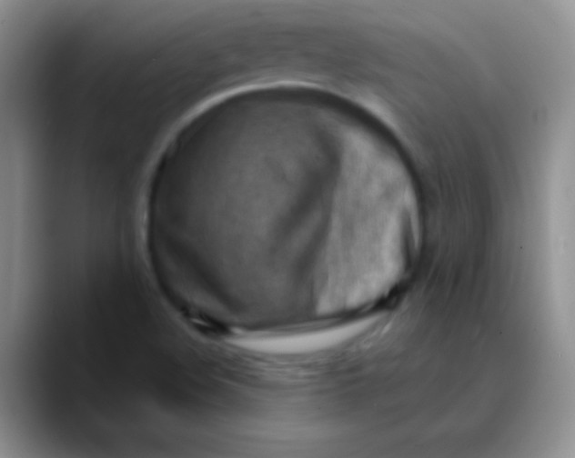 X0000089861508200707191911