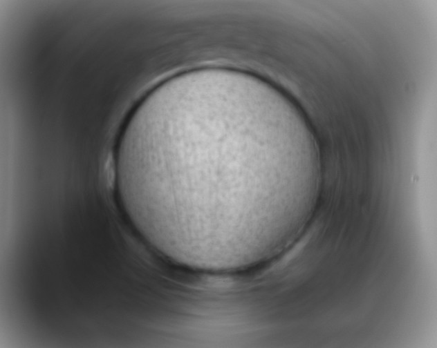 X0000089861509200707191911