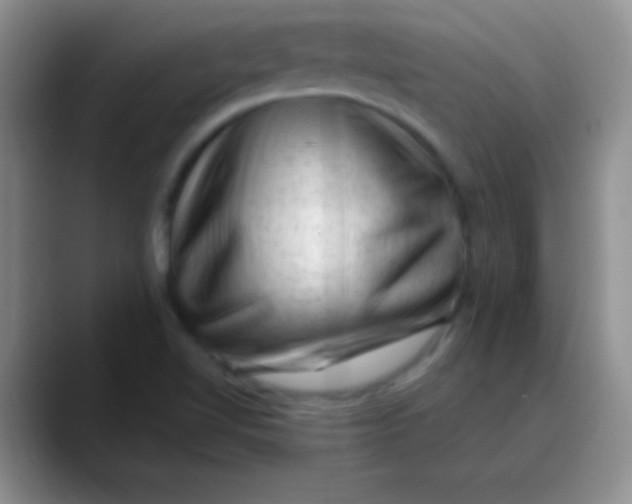 X0000089861510200707191911