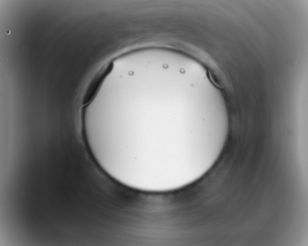 X0000089861512200707191911