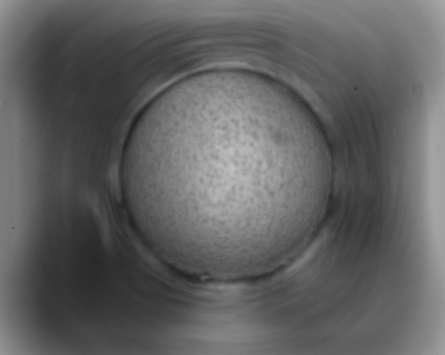 X0000089861513200707191911