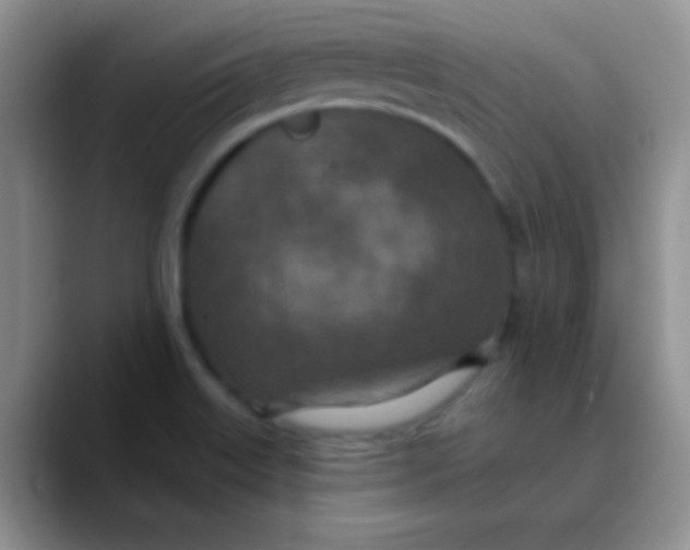 X0000089861515200707191911