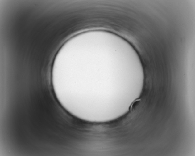 X0000089861516200707191911