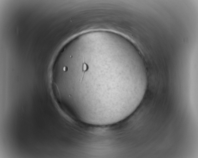 X0000089861519200707191911