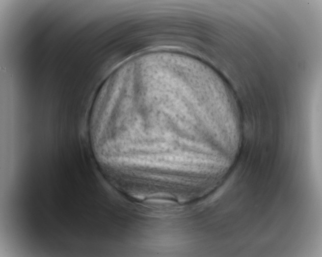 X0000089861521200707191911