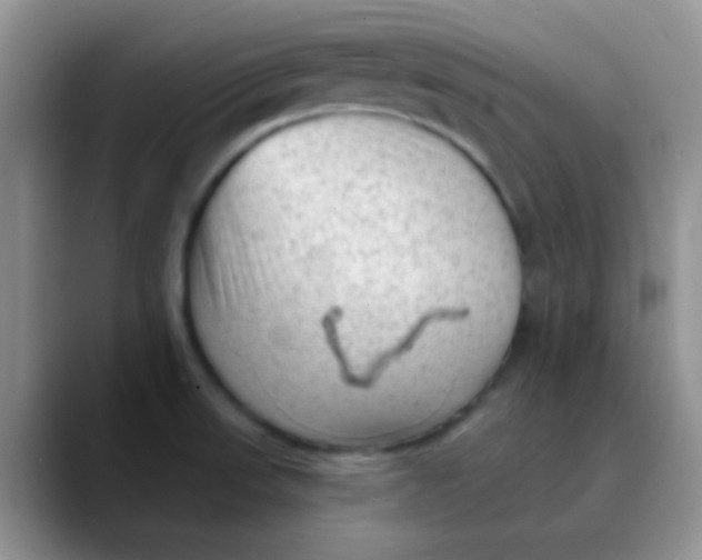 X0000089861523200707191911