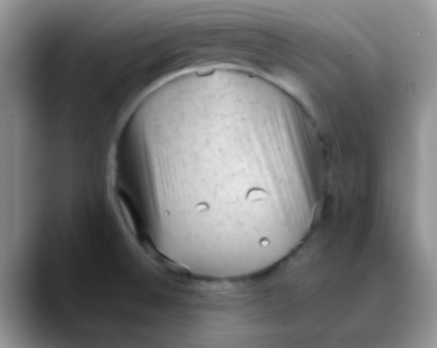 X0000089861524200707191911