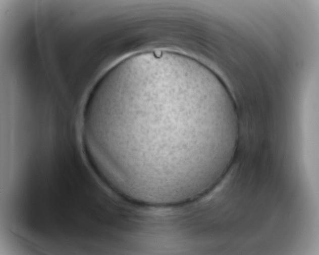 X0000089861525200707191911