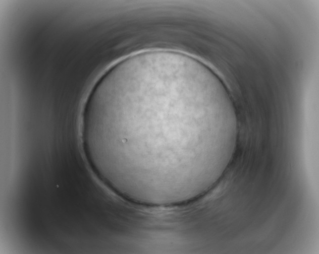 X0000089861527200707191911