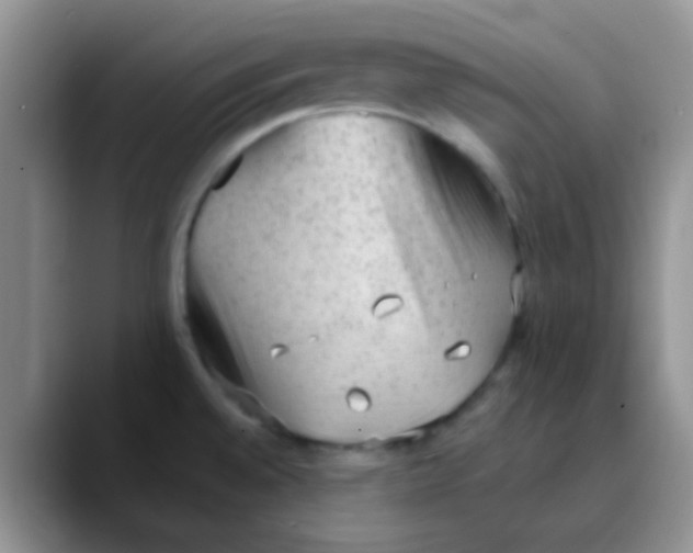 X0000089861528200707191911